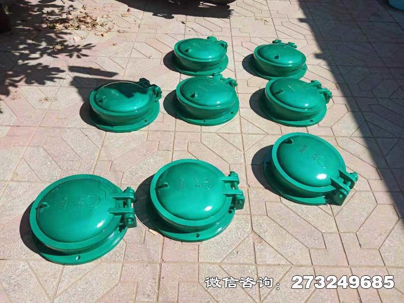 平川玻璃钢止水拍门