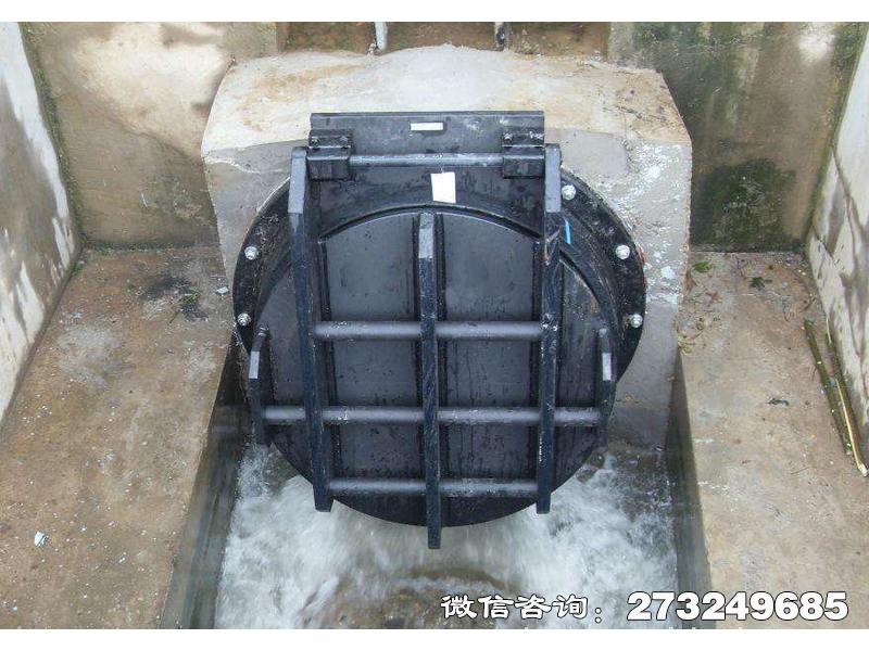 呼和浩特钢制水渠拍门